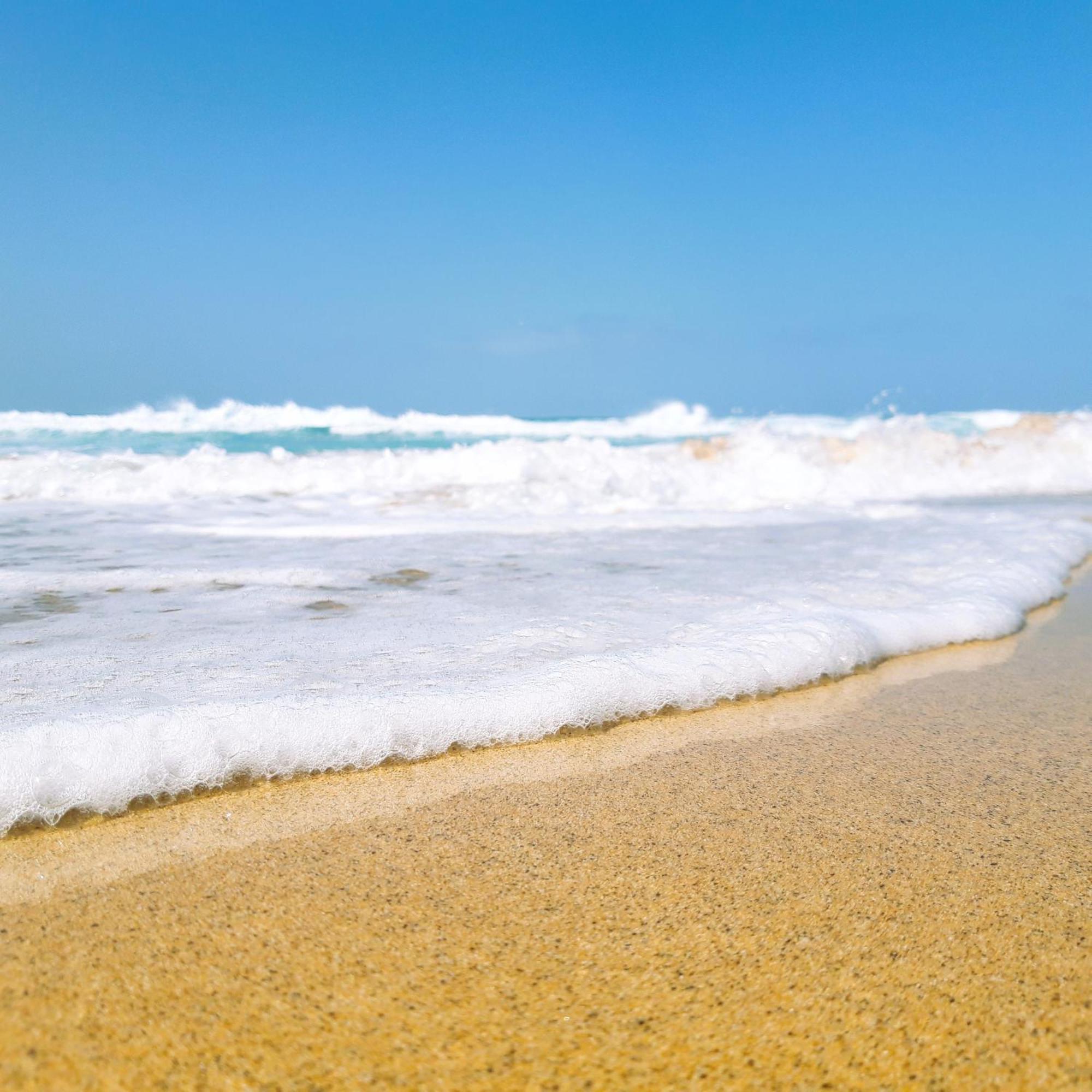 Seagreen Deluxe By Sea There Fuerteventura
